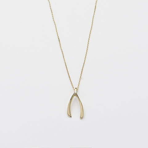 Necklace & Wishbone